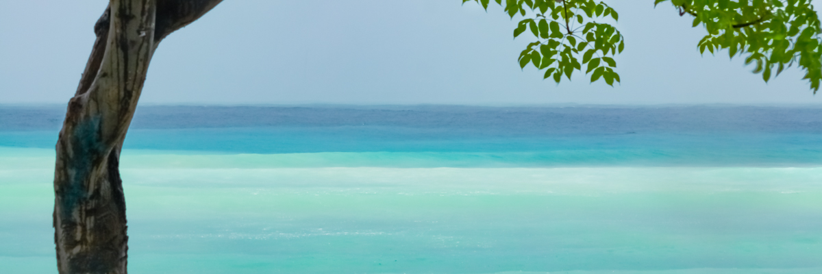 Indonesia 13 IMG 1264